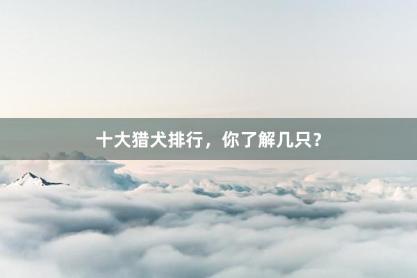 十大猎犬排行，你了解几只？
