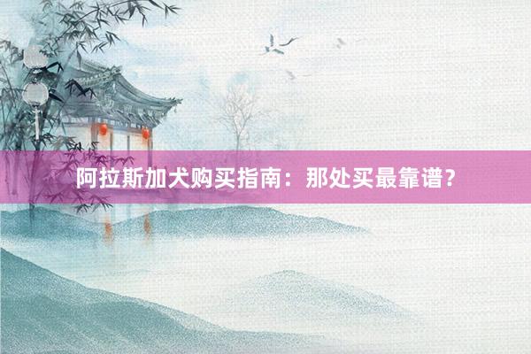 阿拉斯加犬购买指南：那处买最靠谱？